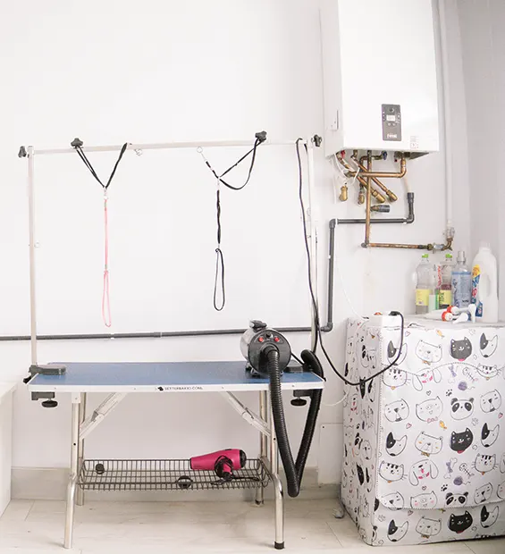 sala de perros y limpieza